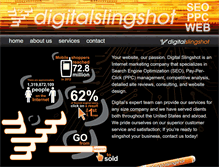 Tablet Screenshot of digitalslingshot.com